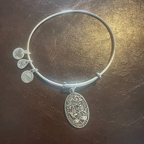 Alex and Ani Because I love you, Sister II Expandable Bangle Bracelet - Picture 2 of 5